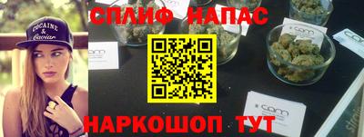гашик Берёзовский