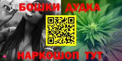 гашик Берёзовский