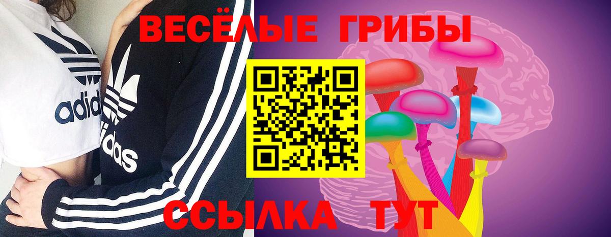 как найти закладки  Вход с VPN  Иваново  Псилоцибиновые грибы Psilocybe 